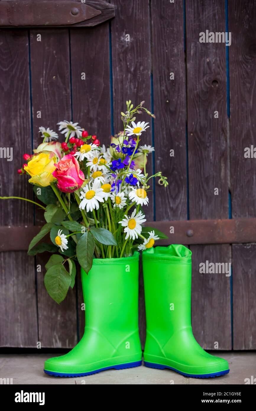 Rubber boots with beautiful flowers in garden Stock Photo - Alamy