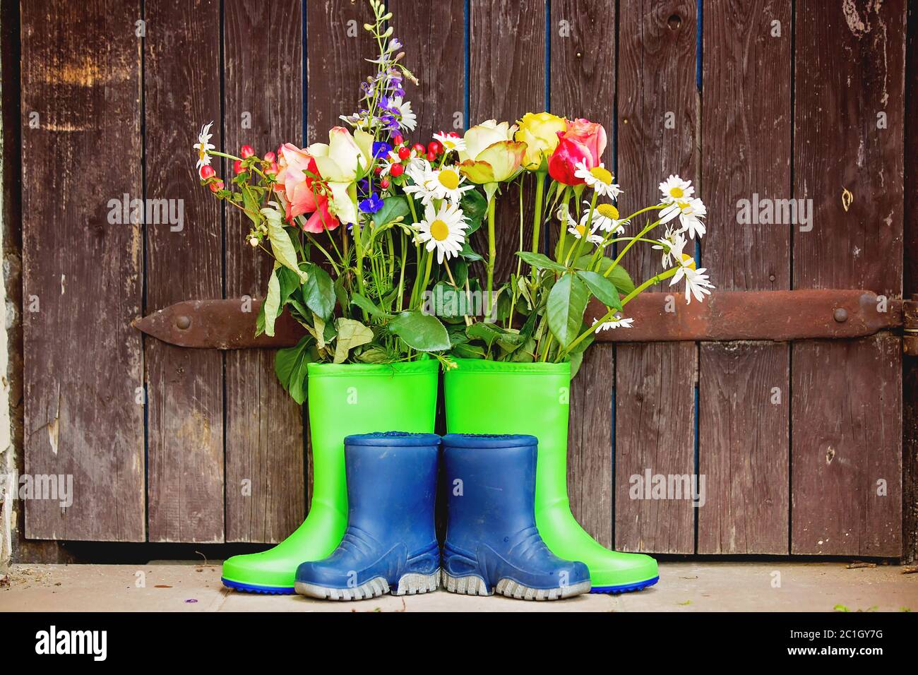 Rubber boots with beautiful flowers in garden Stock Photo - Alamy
