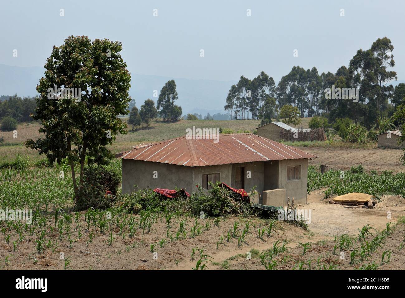 Farm and agriculture in Tanzania Stock Photo