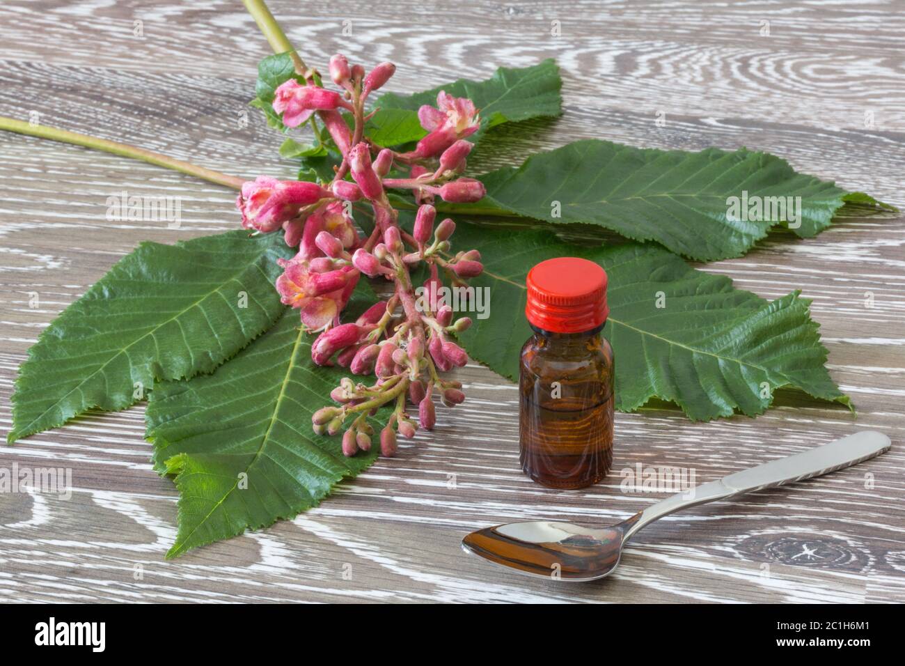 red chestnut bach flowers Stock Photo