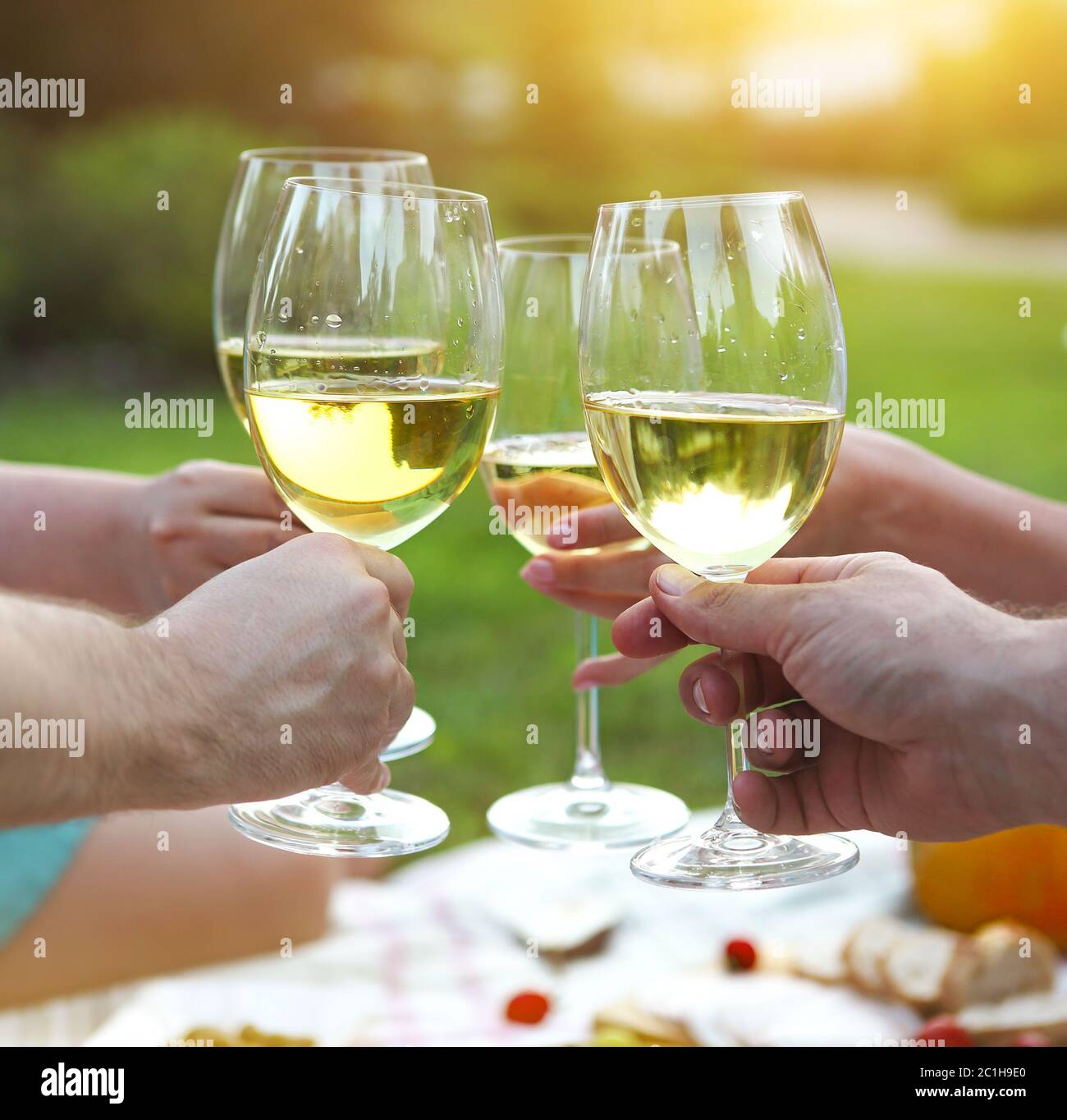 Summer picnic with white wine Stock Photo