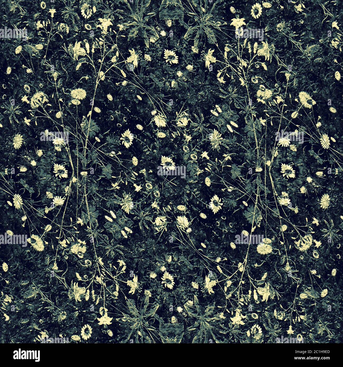 Dark Floral Collage Background Stock Photo