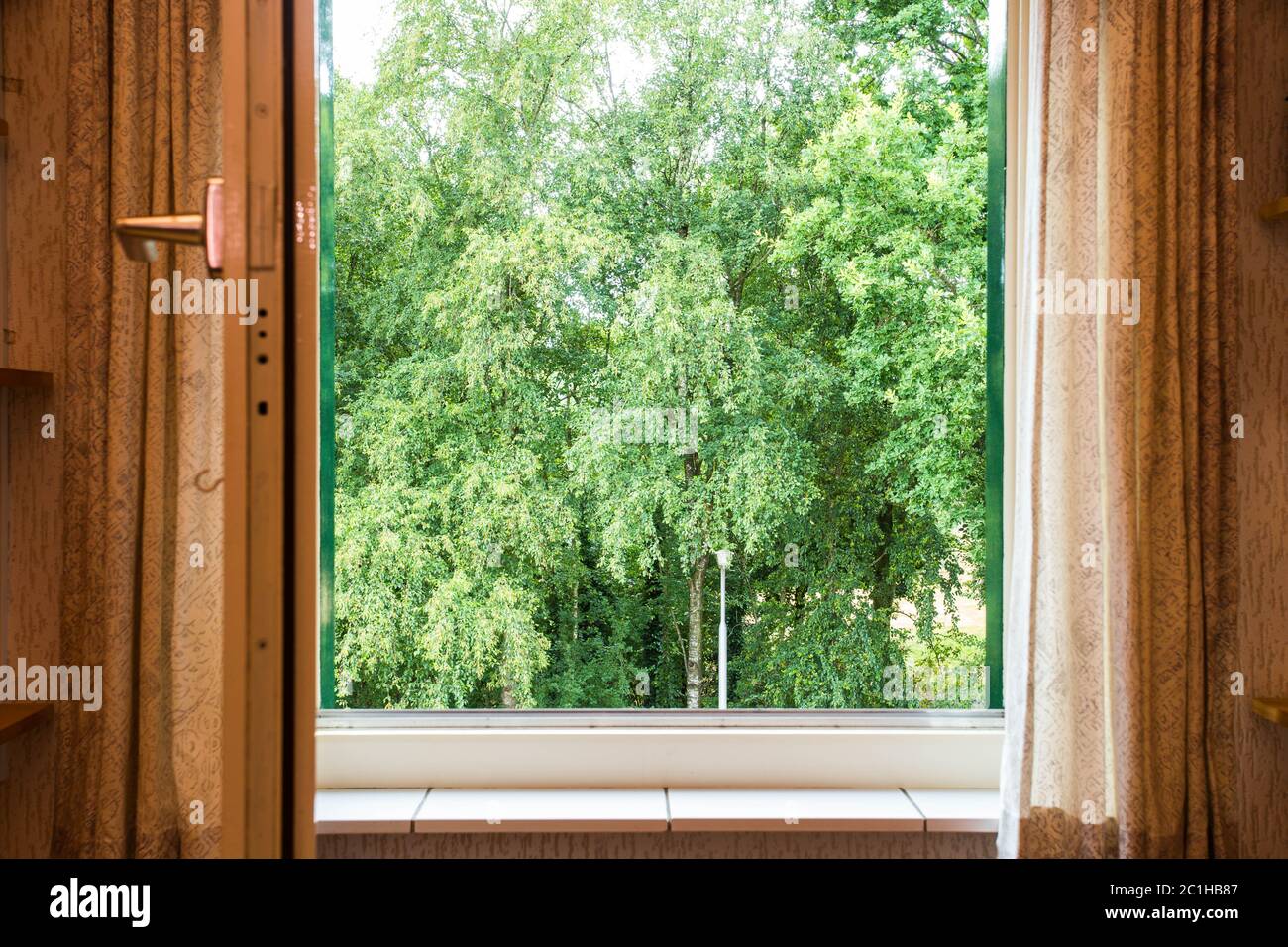 nature landscape with a view through a window with green trees Stock