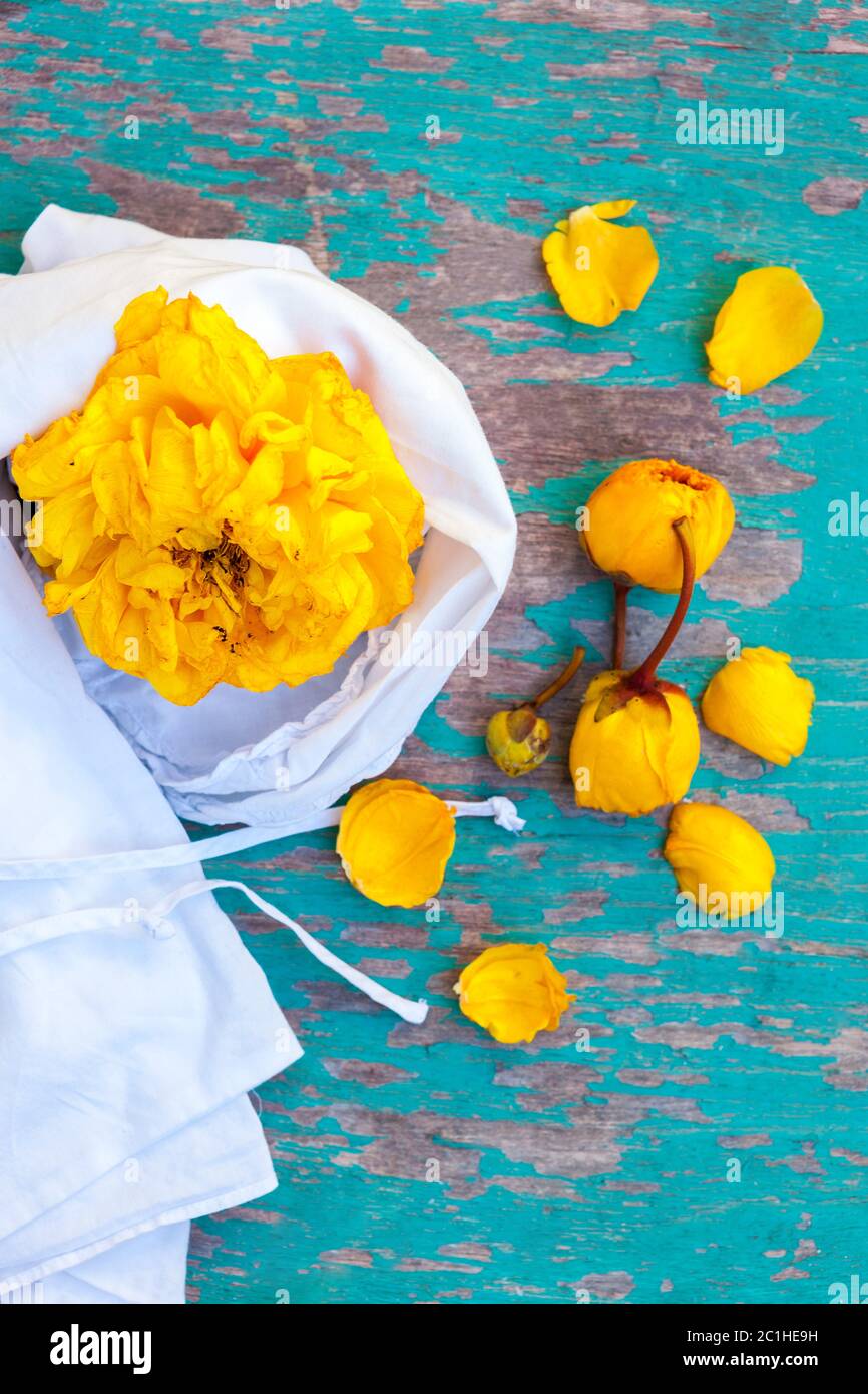 Yellow silk cotton tree flowers with cloth Stock Photo Alamy