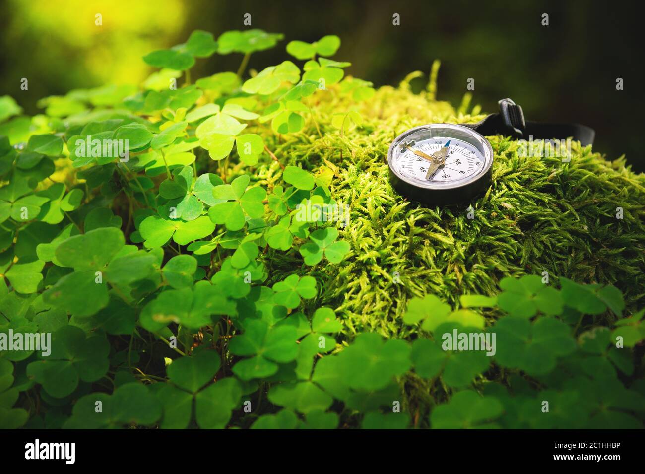 Close up handmade wooden compass, tree shadows on green nature grass ...