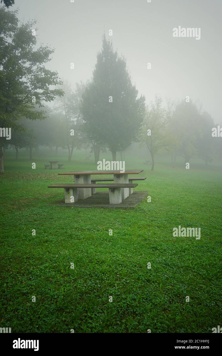 Fog in trees hi-res stock photography and images - Alamy