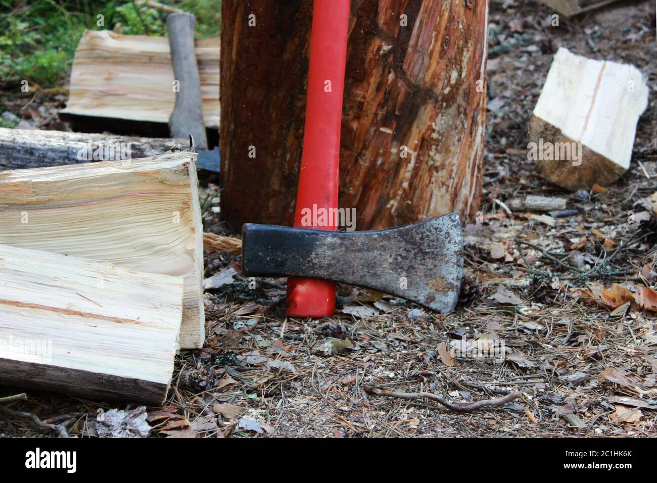 big ax with a red handle stands in the forest leaning against a wooden stump. for cooking firewood. Stock Photo