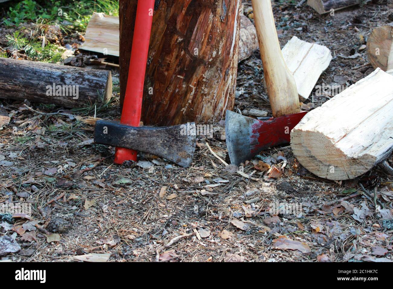 big axes with a red handle stands in the forest leaning against a wooden stump. for cooking firewood. Stock Photo