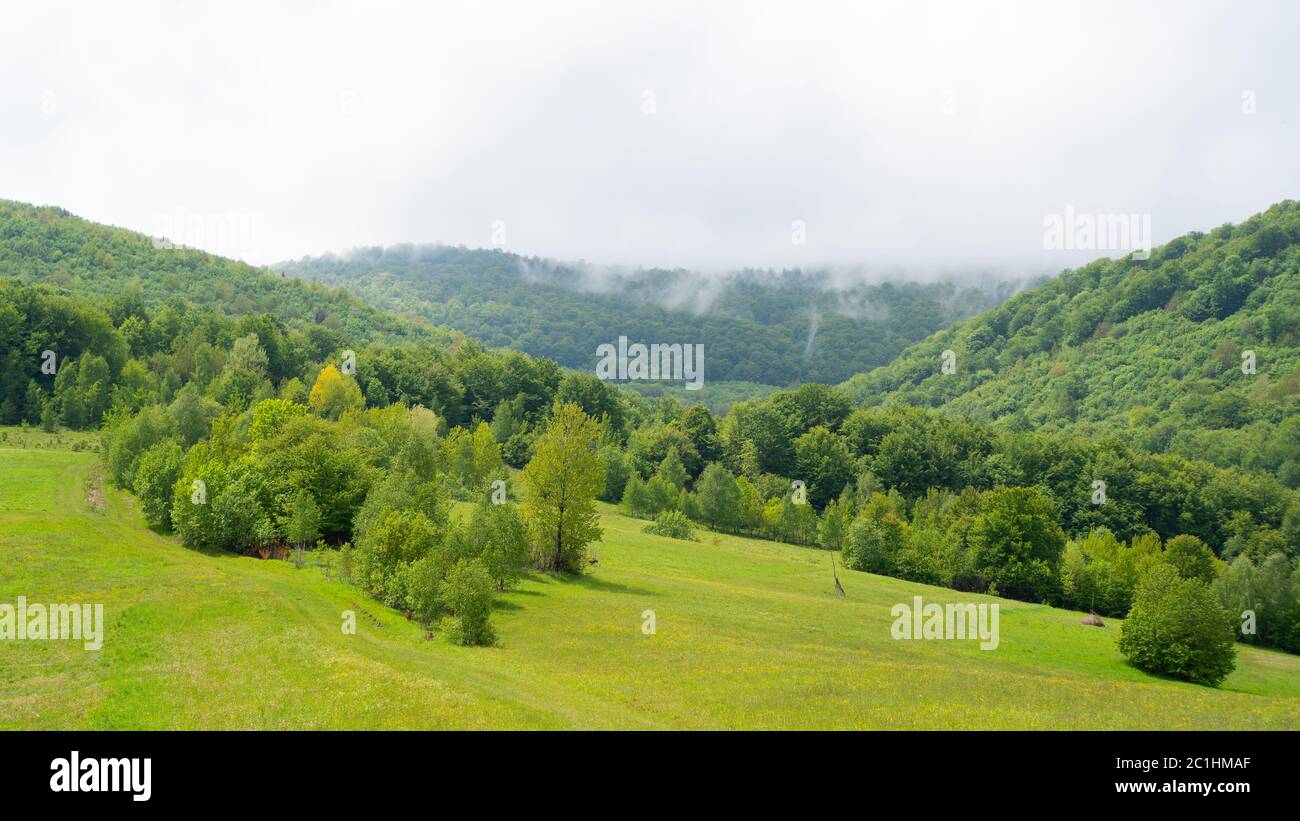 View of Mount Pikuy. way up the mountain through a green meadow and forest. clouds over the mountains. fog over forest Stock Photo