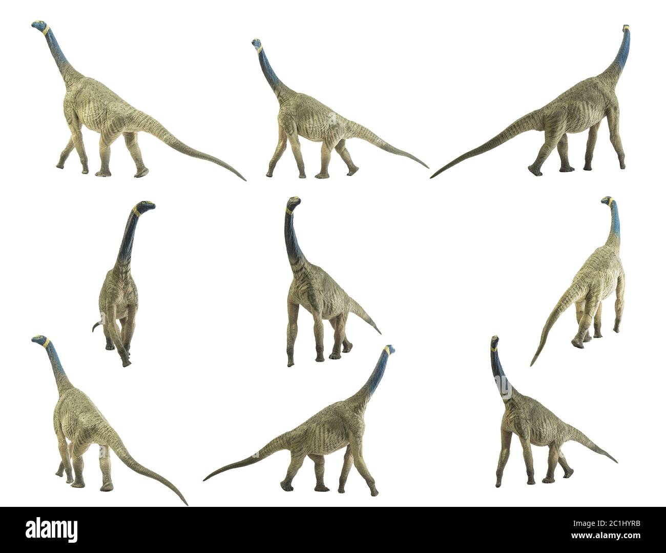 アウストラロピテクス·アフリカヌス模型 Atlasaurus hi-res stock photography and images - Alamy