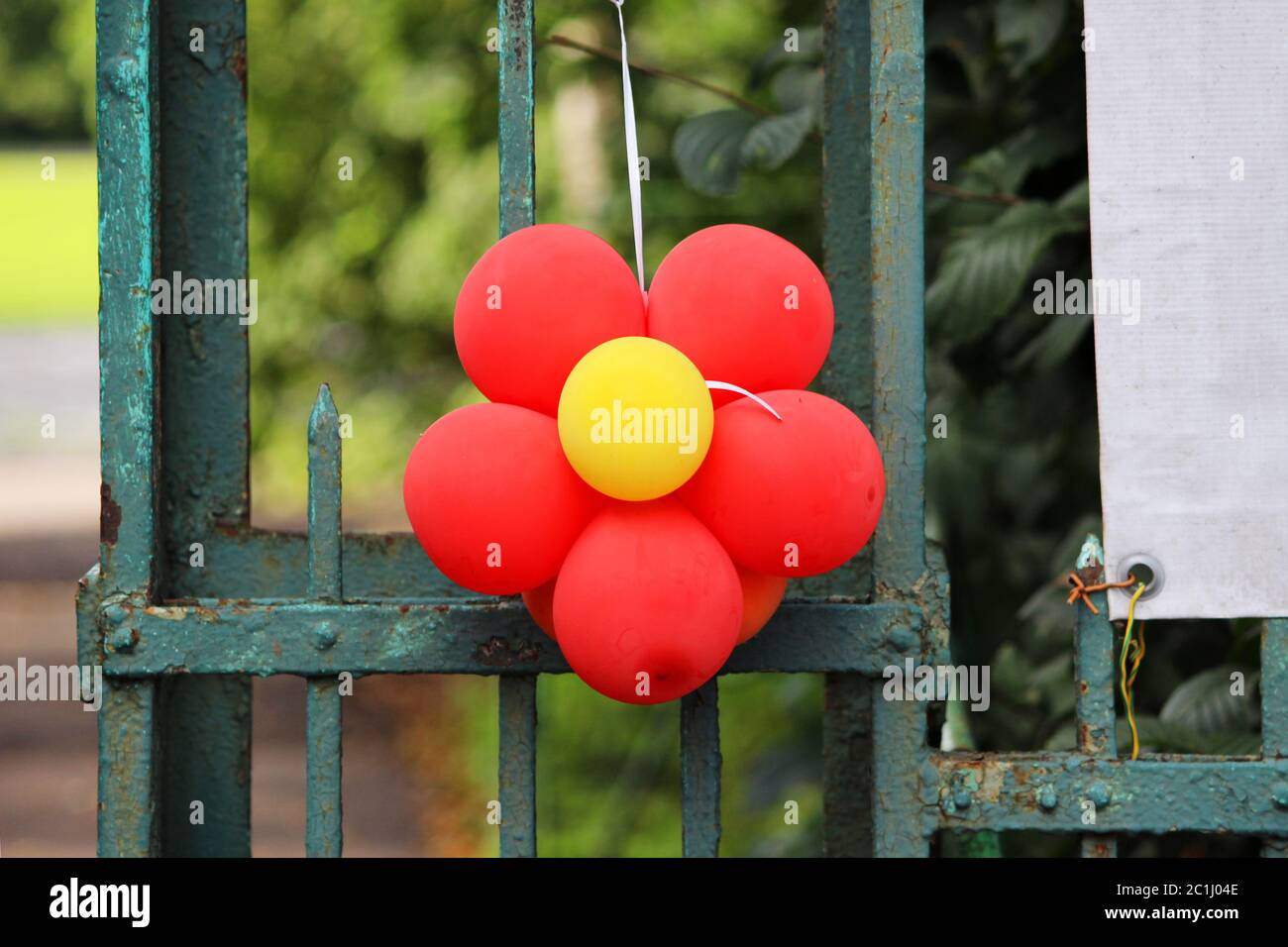 red flower made from a balloon hanging on a fence. Stock Photo