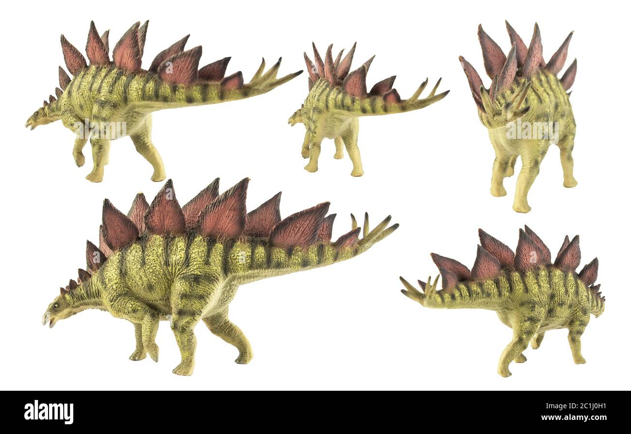 Stegosaurus , dinosaur on white background Stock Photo - Alamy