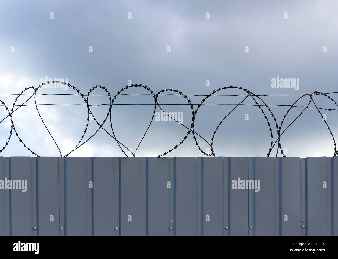 barbed wire fixed with circles on a metallic solid light gray fence. Stock Photo
