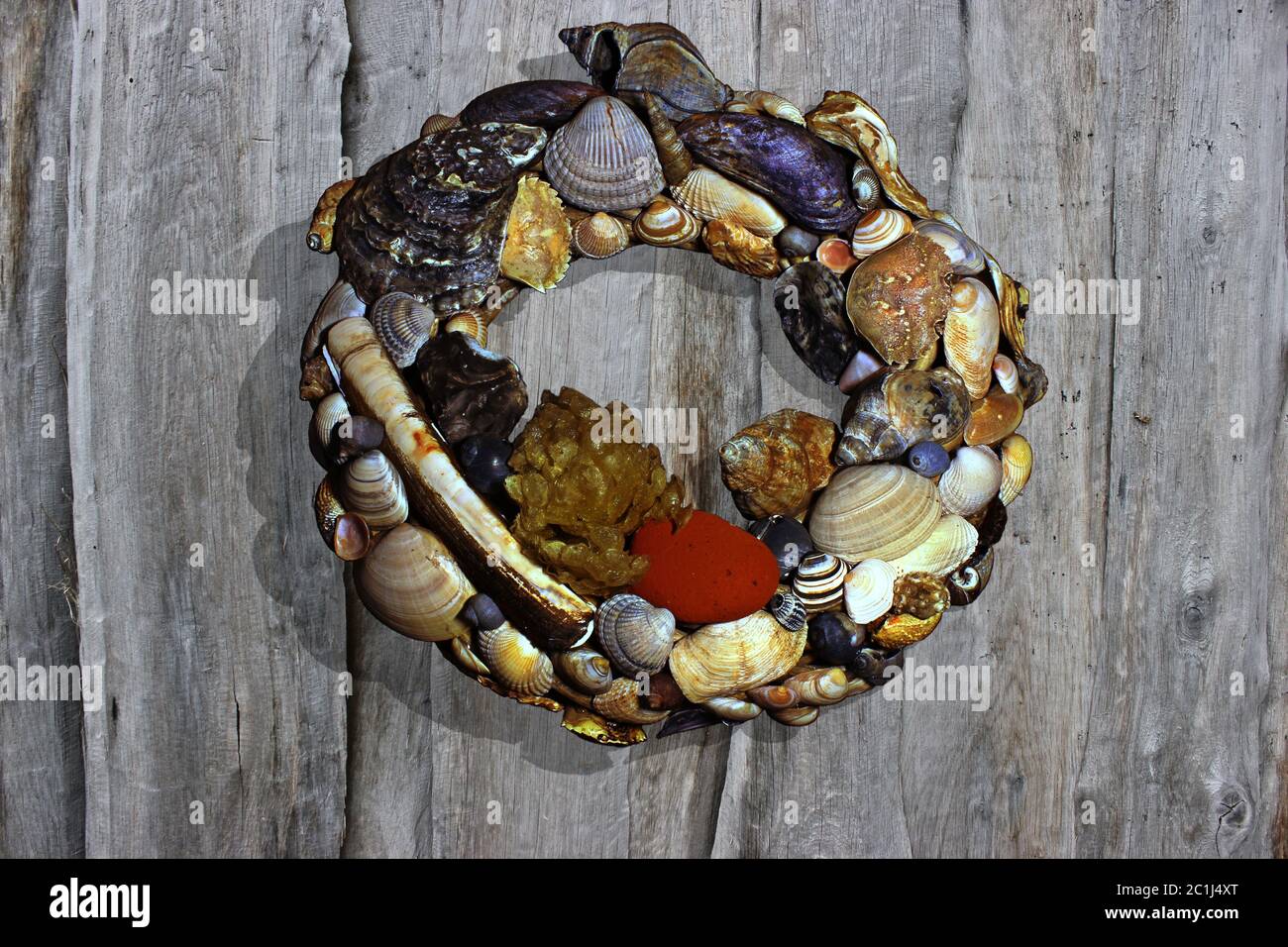 Wreath with North Sea shells on wooden wall Stock Photo