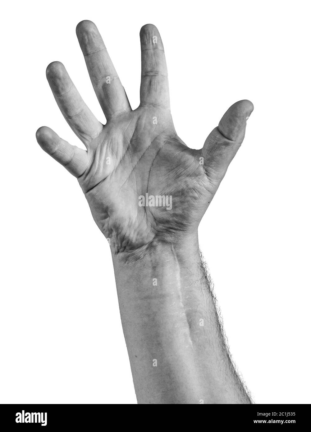 Woman hand showing the five fingers isolated on a white background Stock Photo