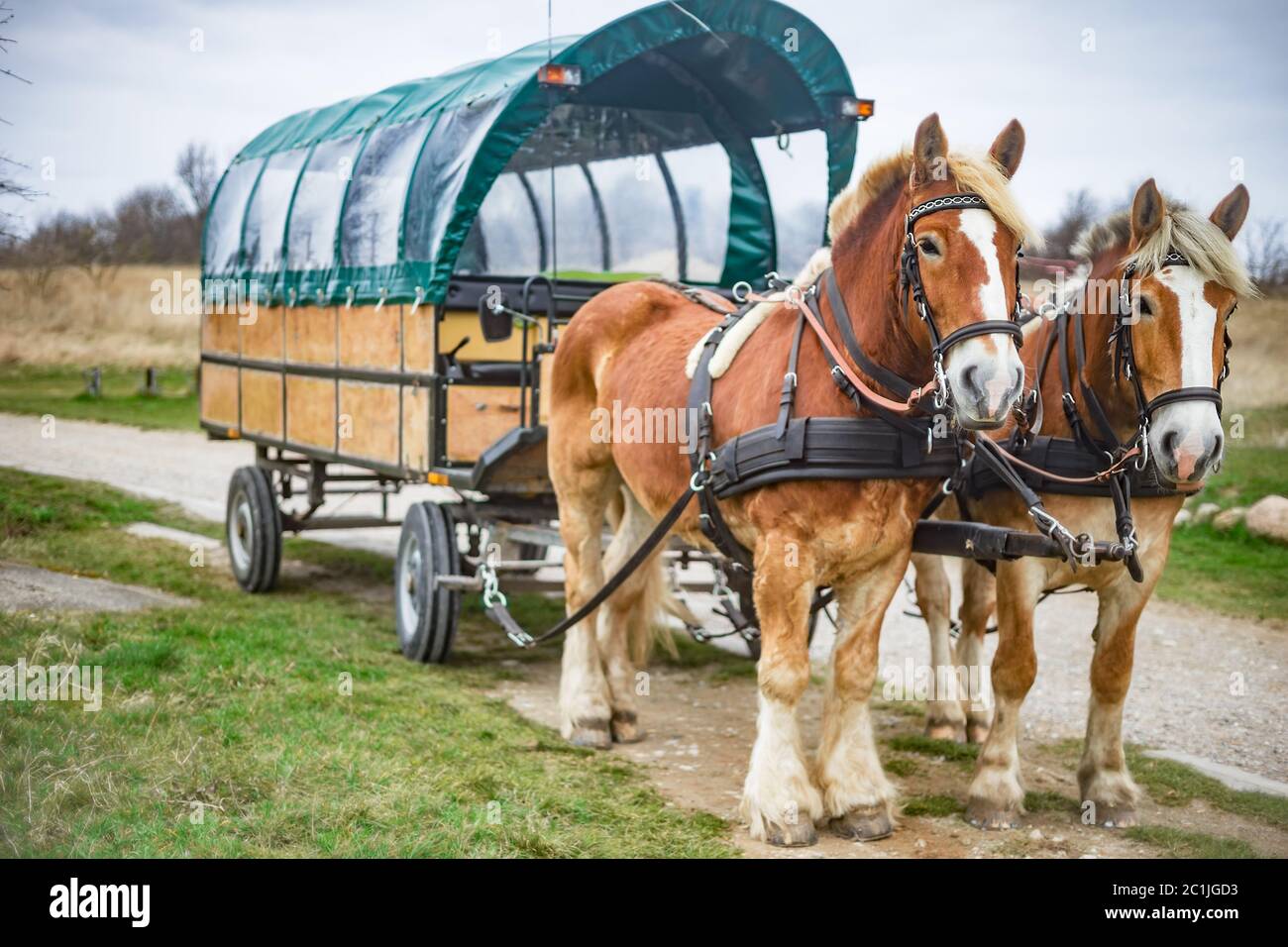 Germany horse drawn carriage hi-res stock photography and images - Alamy