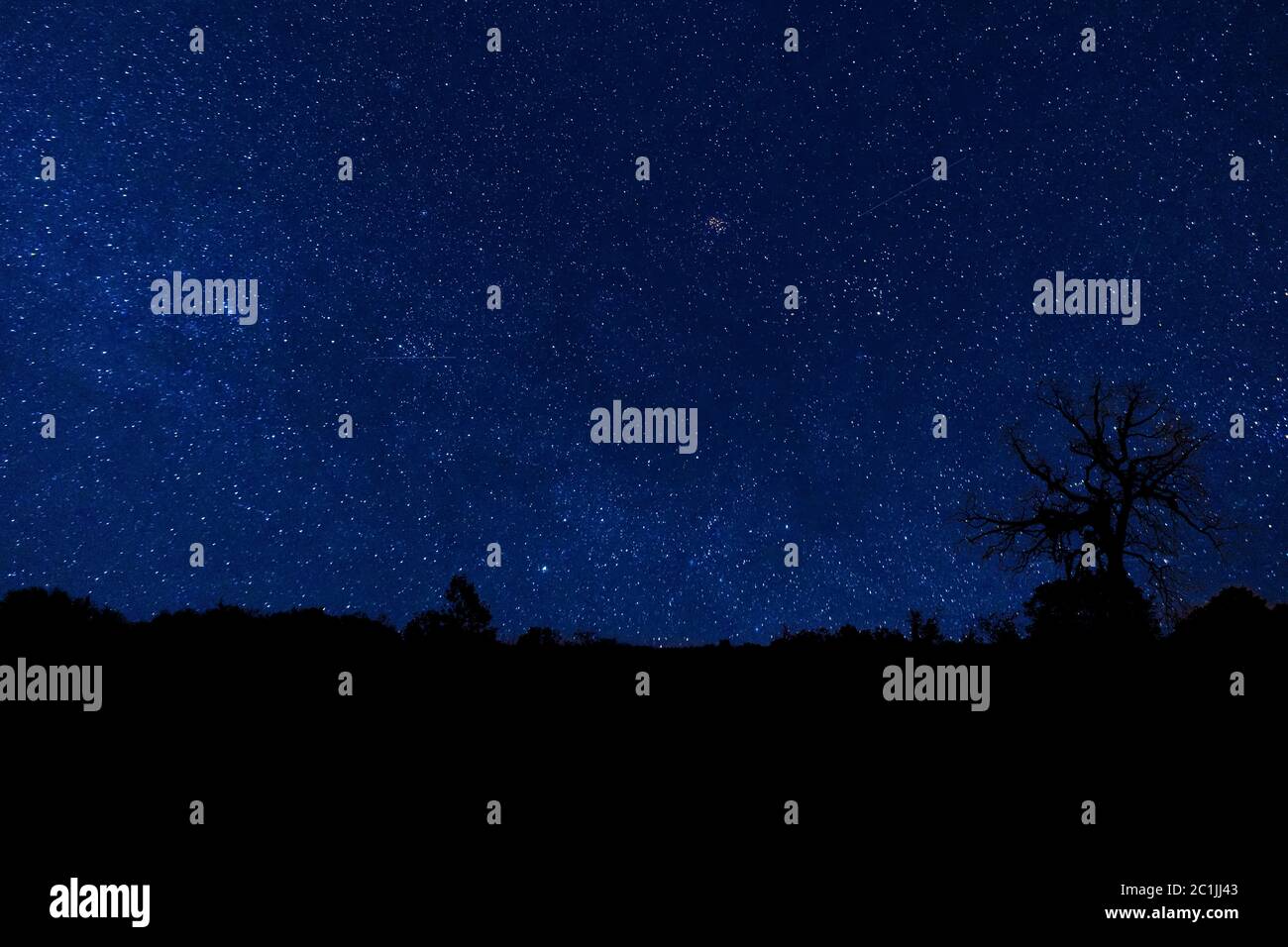 Blue clear night with stars Stock Photo