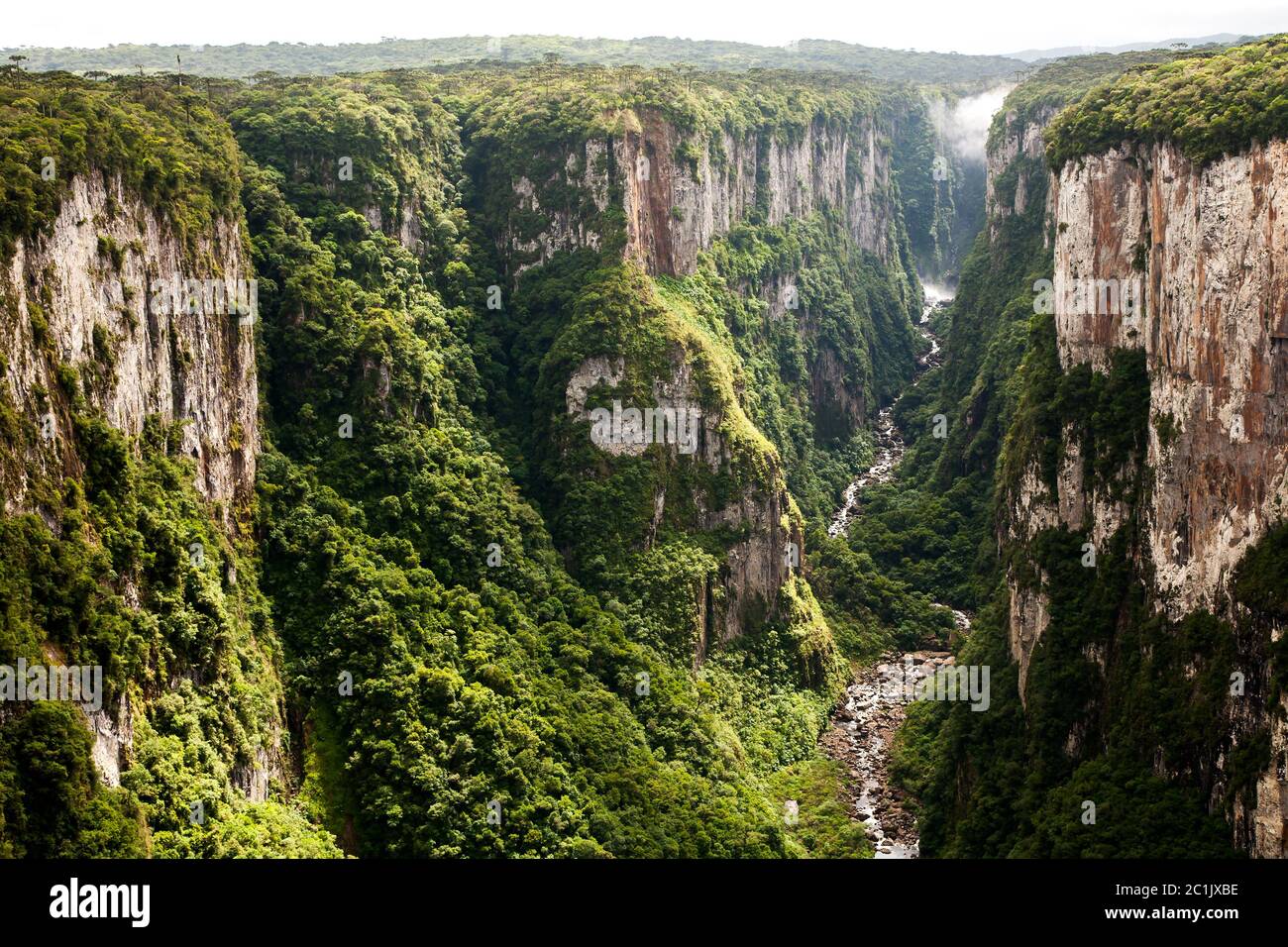 Itaimbezinho canyon cliffs in southern Brazil Stock Photo