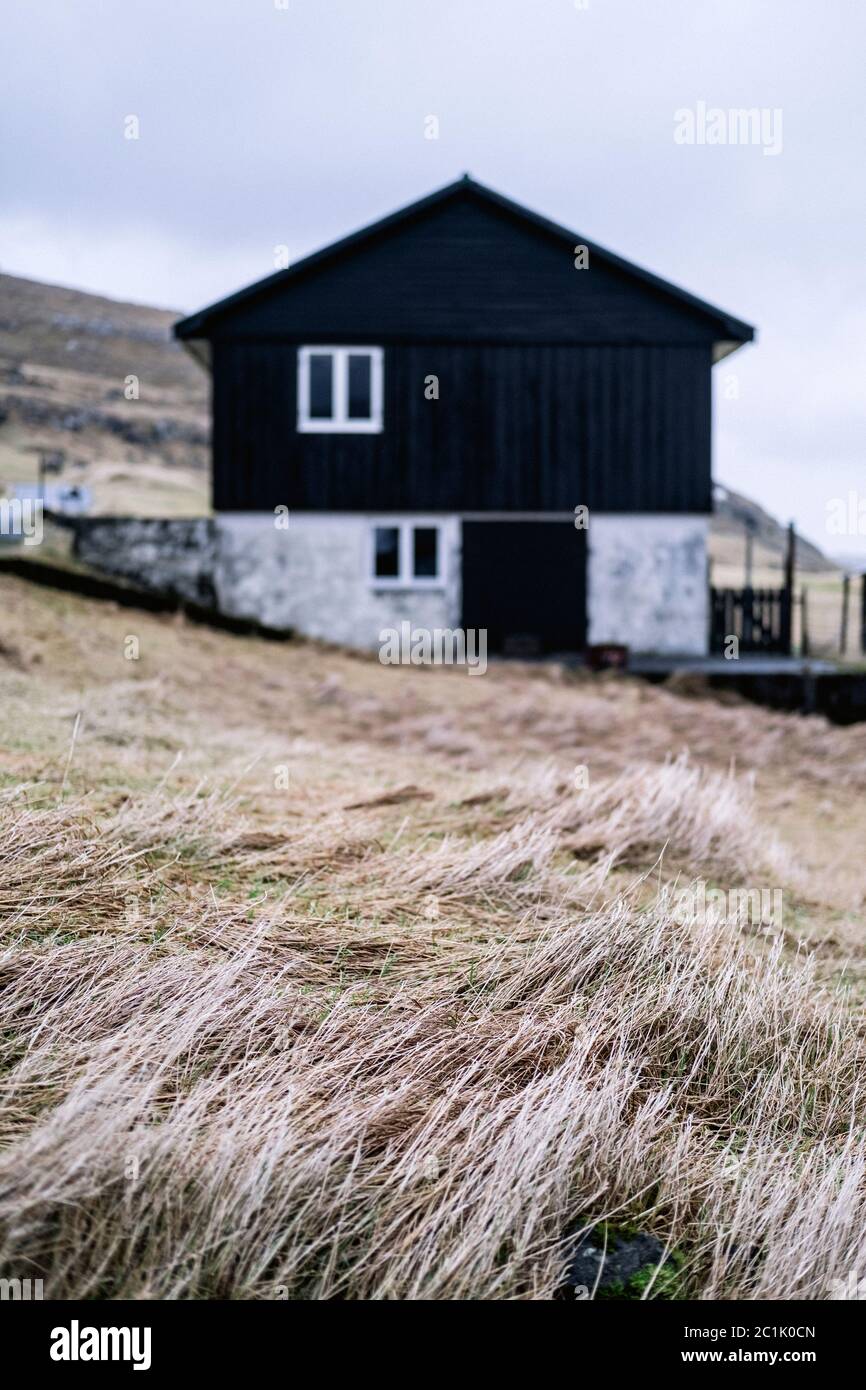 Closeup of dry grass with house blurred in backdrop, Faroe Islands Stock Photo