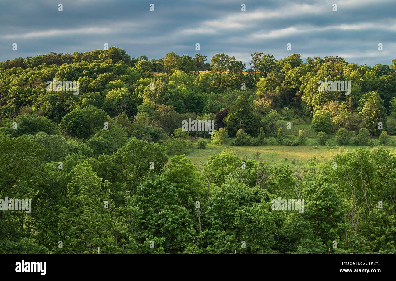Green  and Lush Woods and Farmland on a Hill Outside McClure, in Central Pennsylvania, with Blue Cloudy Skies During the Summer. Stock Photo