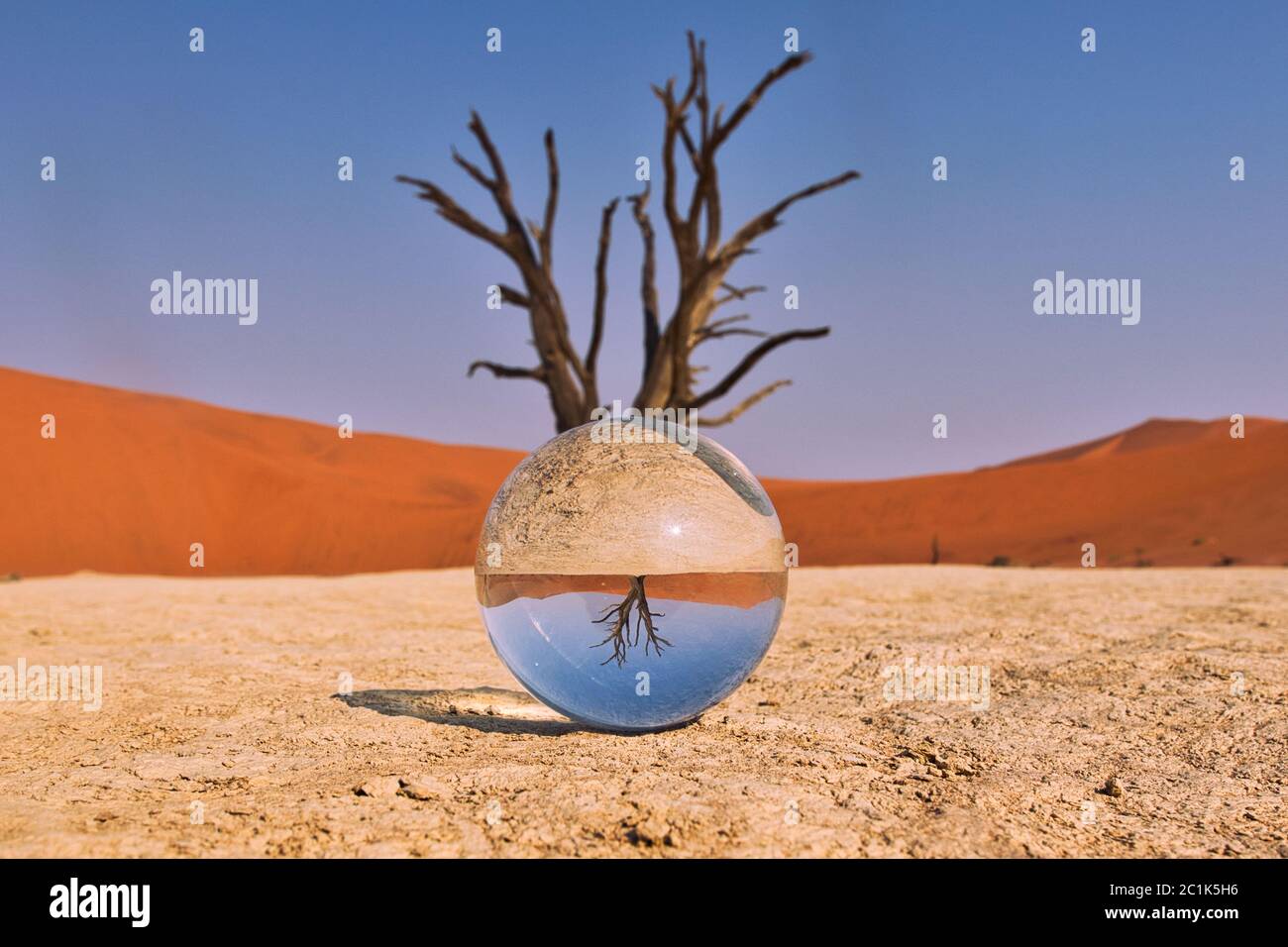 A glass ball in the desert in front of a dying tree Stock Photo