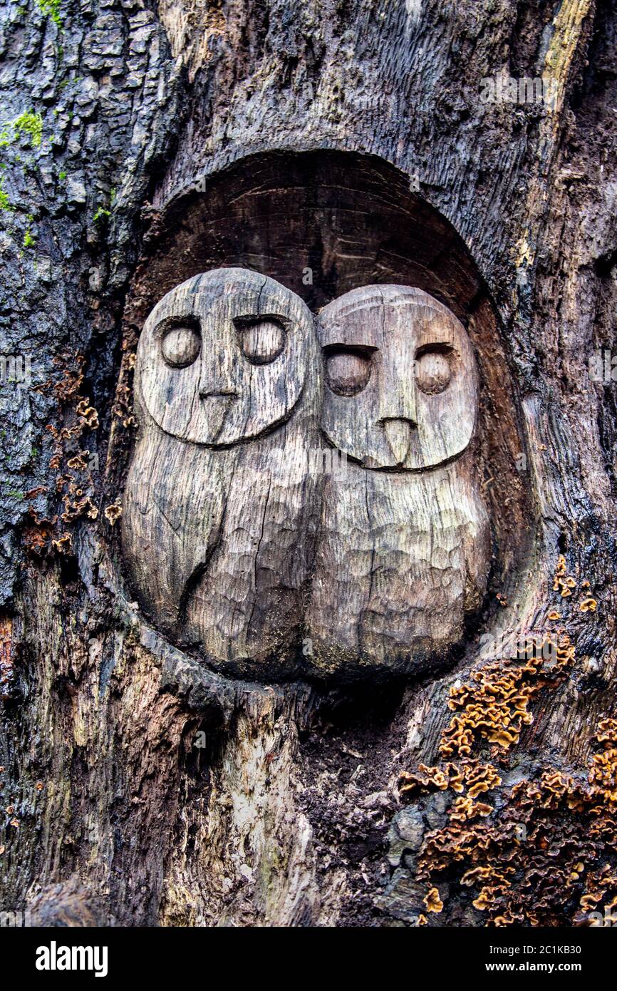 Wooden Carved Owls on a Tree Stump Stock Photo