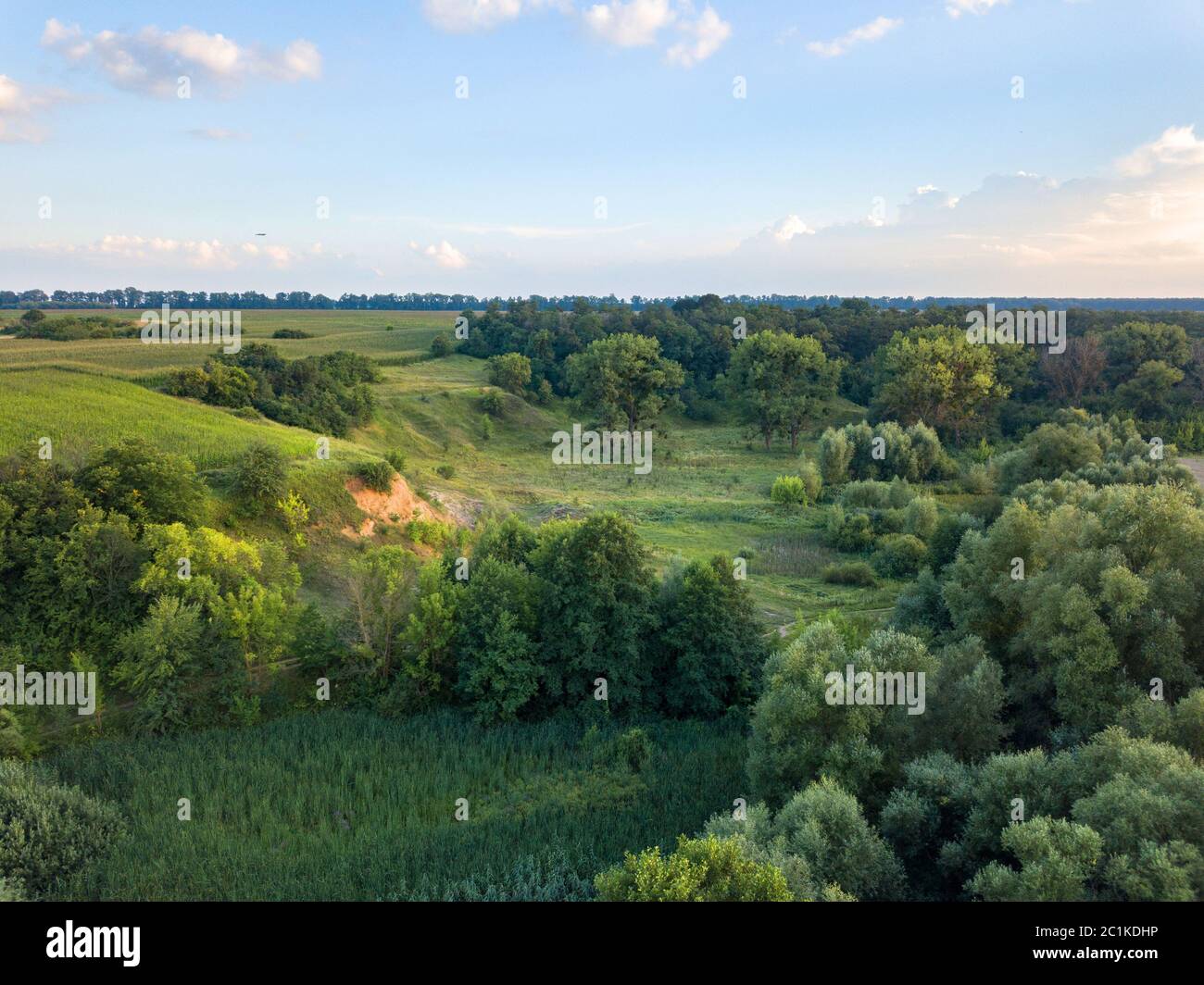 Aerial view from the drone of a natural landscape with greenery, forest ...