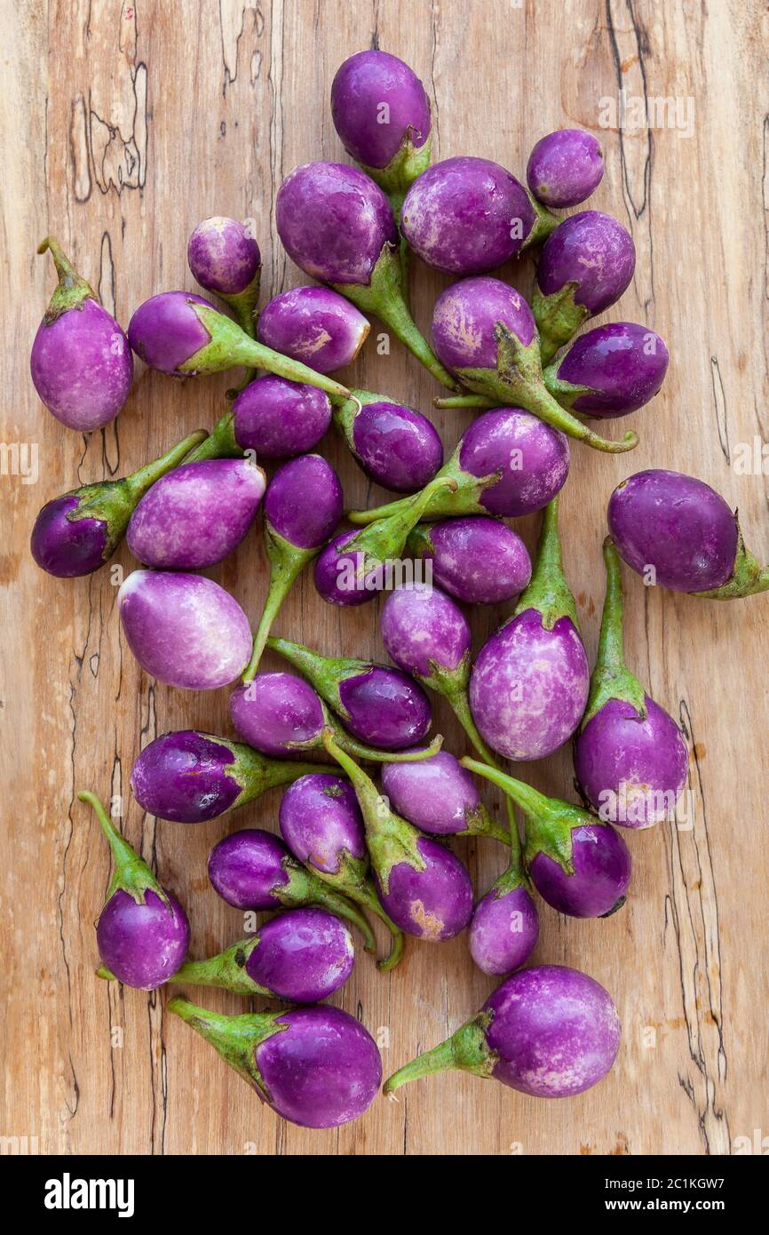 Group of baby violet eggplants. Stock Photo