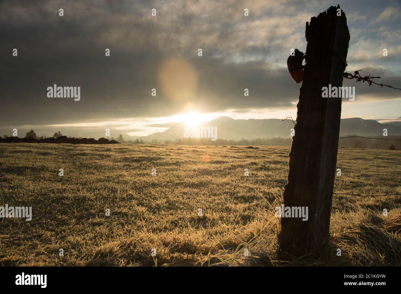 Sunrise over a field Stock Photo - Alamy