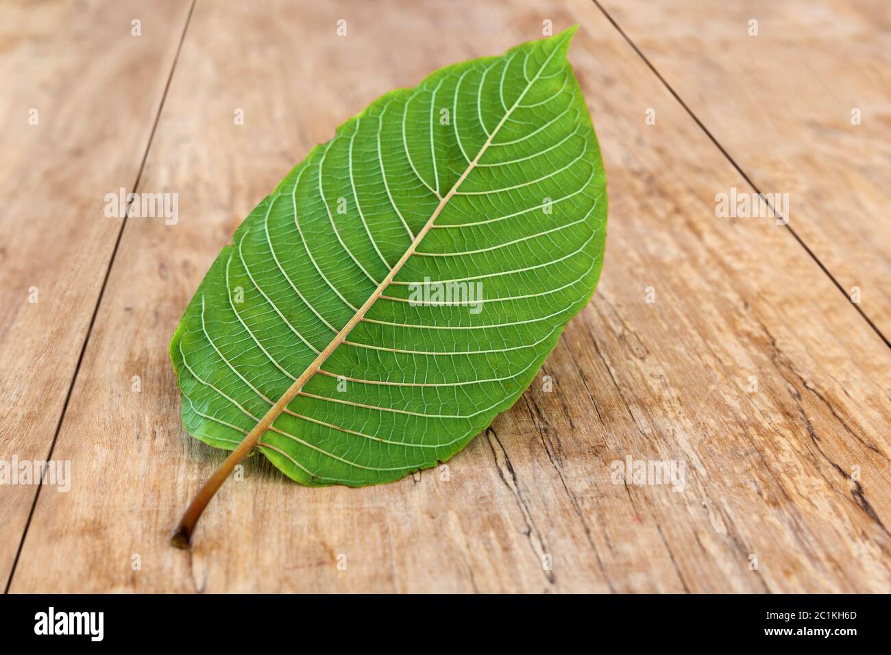 Kratom leaf on wooden table. Stock Photo