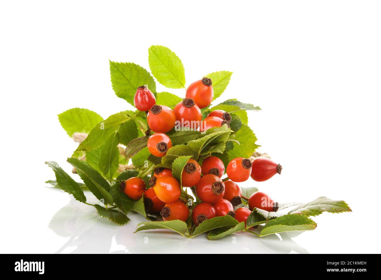 Rose hip isolated on white background Stock Photo - Alamy