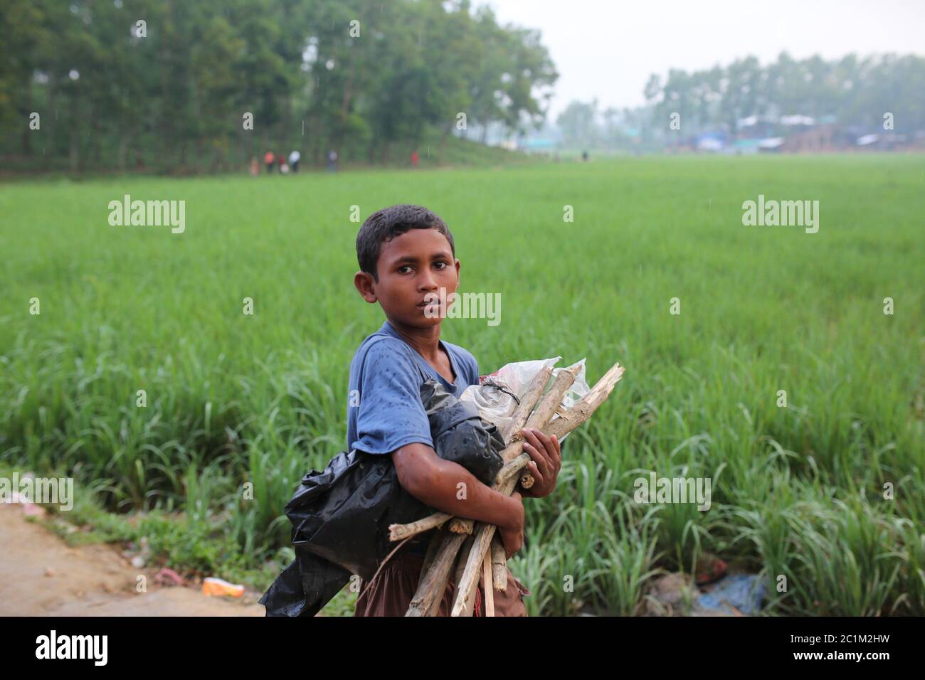 A Rohingya child collect dry wood from jungle to cook food at Kutupalong refugee camp, Bangladesh, Tuesday, Oct. 03, 2017. Stock Photo