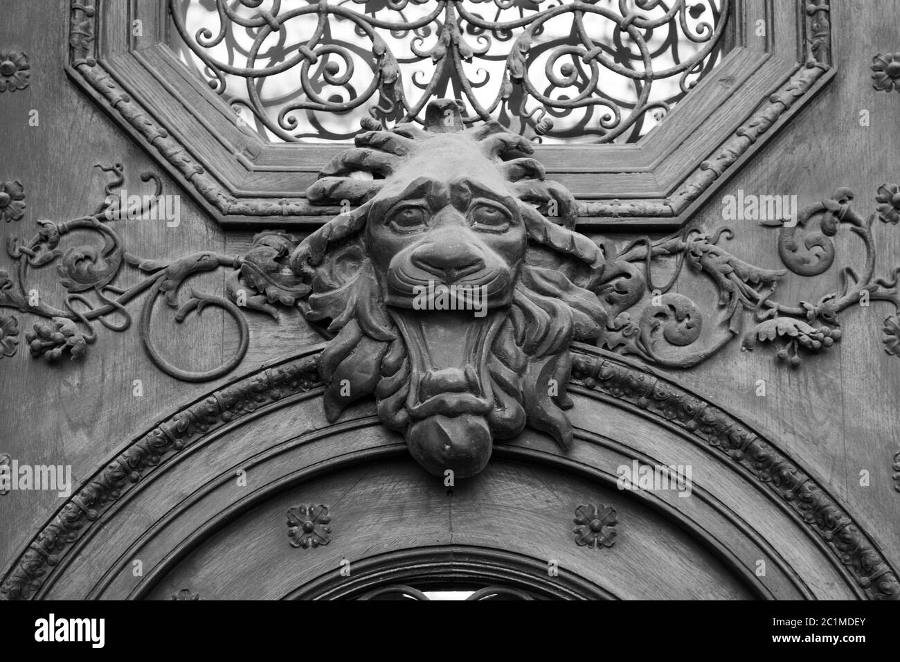 brass lion head on the door, black and white Stock Photo