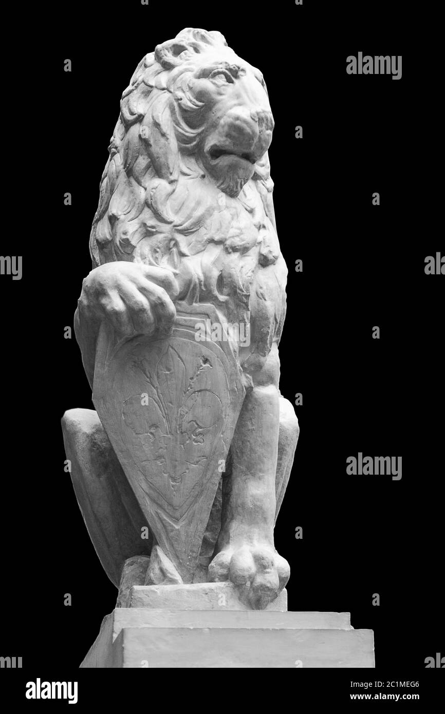 stone lion statue isolated on black background Stock Photo Alamy