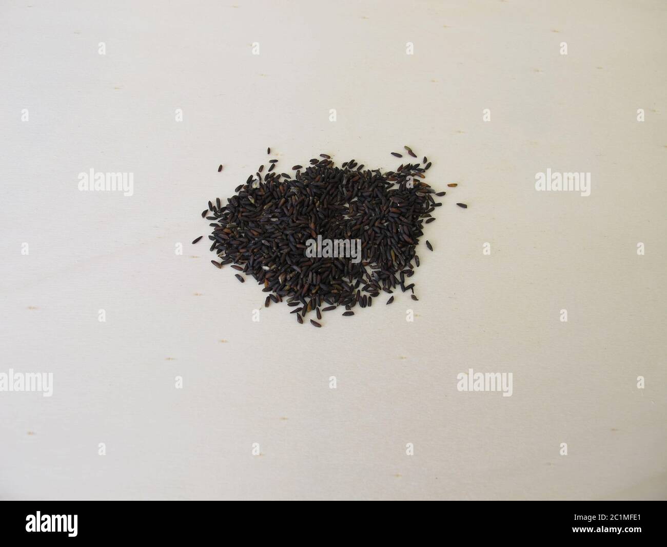 Garlic mustard seeds Stock Photo Alamy