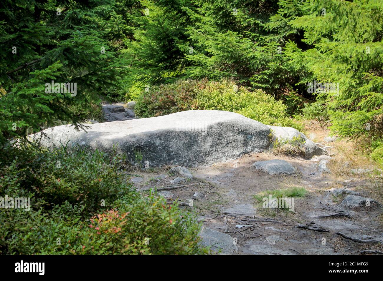 this is a Landscape in the Harz with rocks and trees Stock Photo
