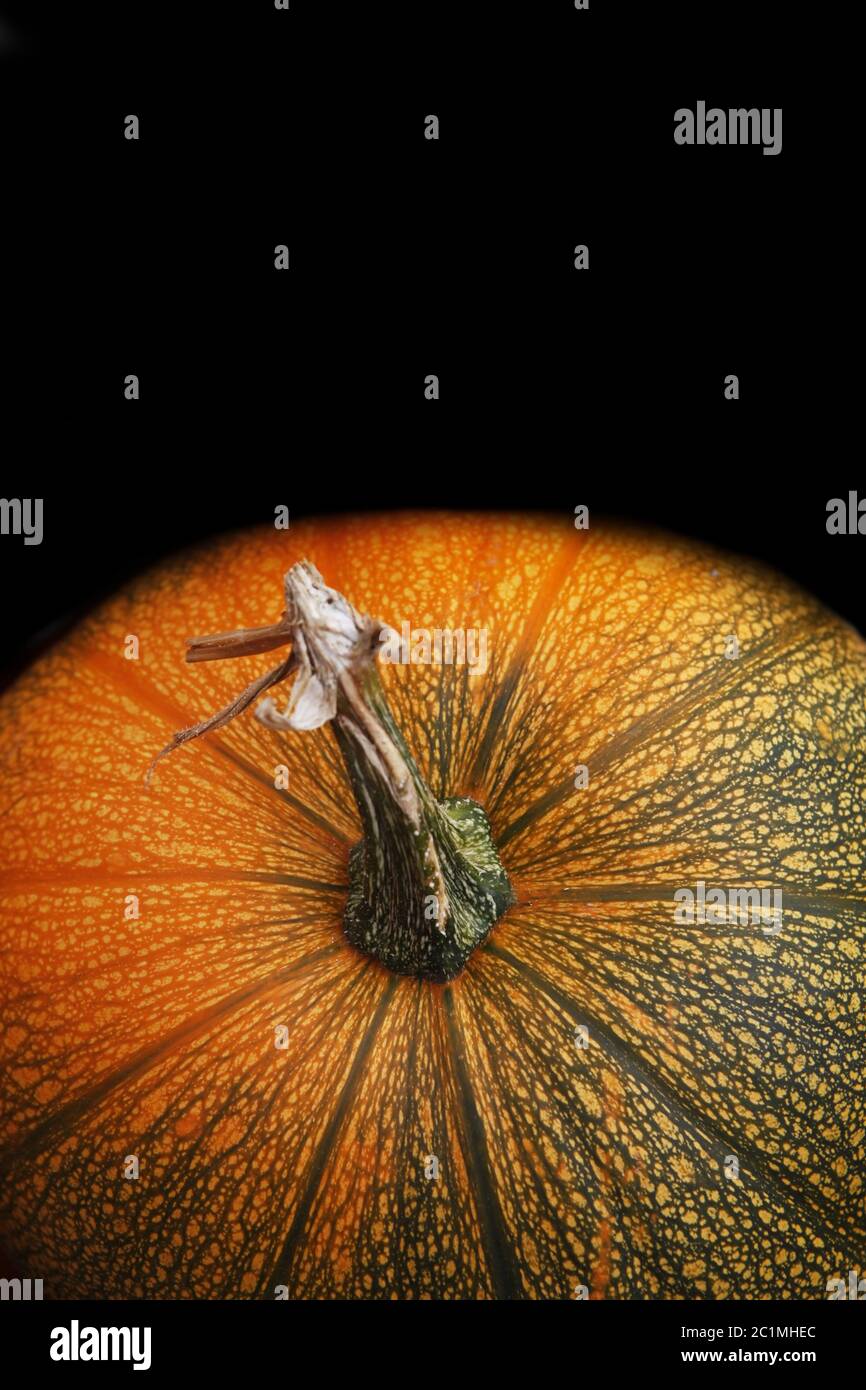 Pumpkin on a black background Stock Photo - Alamy