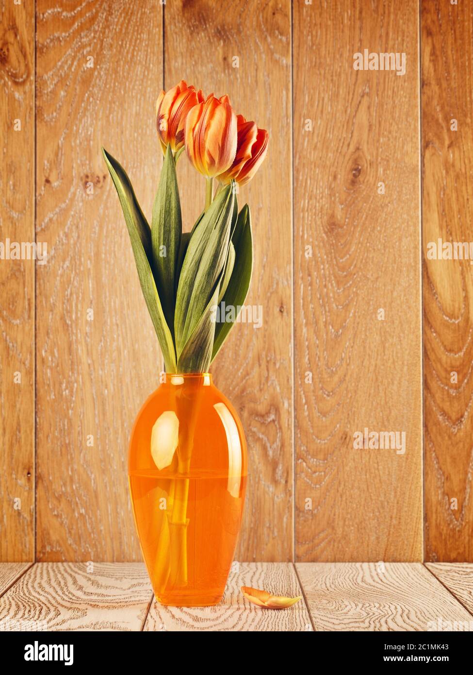 Tulip Flowers Bouquet In Vase Stock Photo