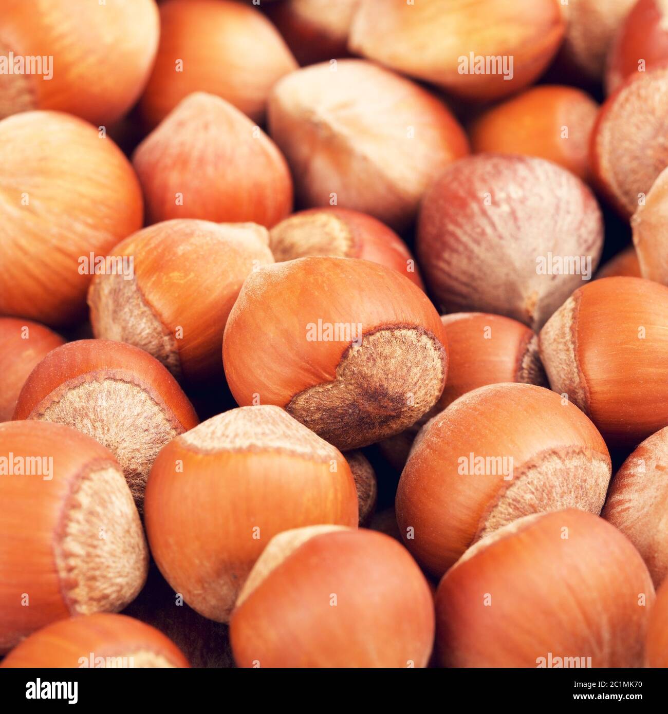 Hazelnuts In A Shell Background Stock Photo