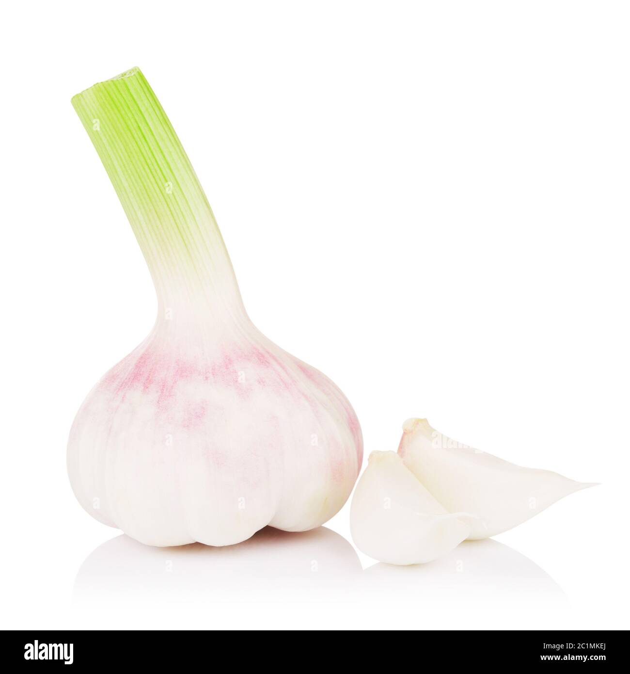Fresh Young Garlic Stock Photo