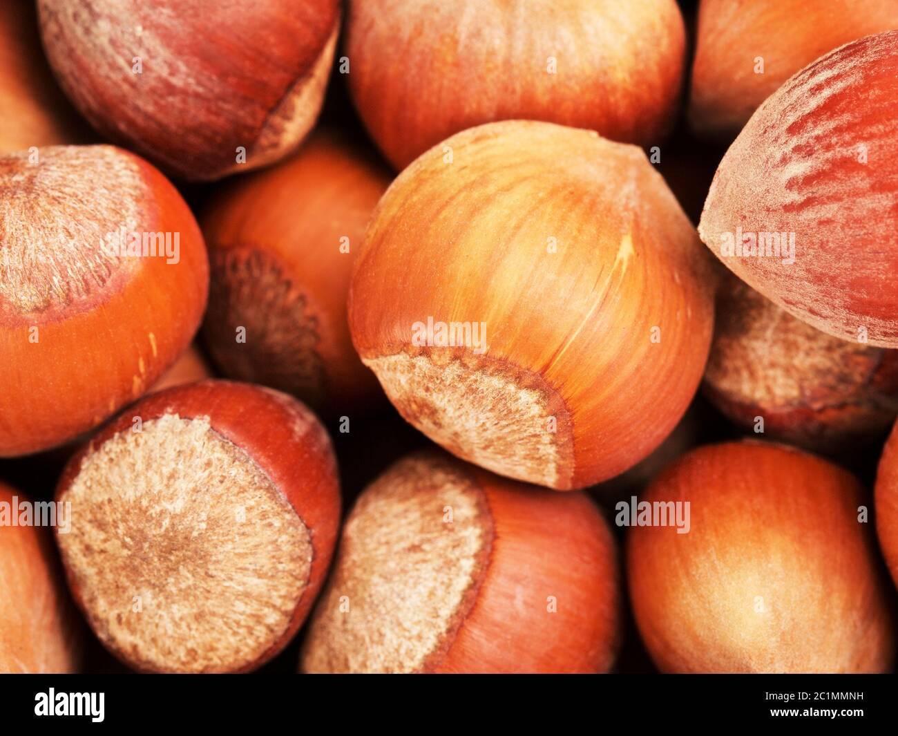 Hazelnuts In A Shell Background Stock Photo