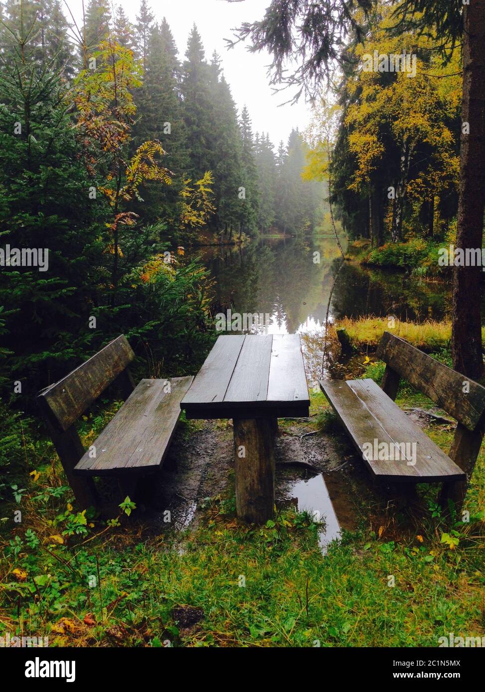 a bench in the forest at a view to rest for hikers in autumn Stock Photo