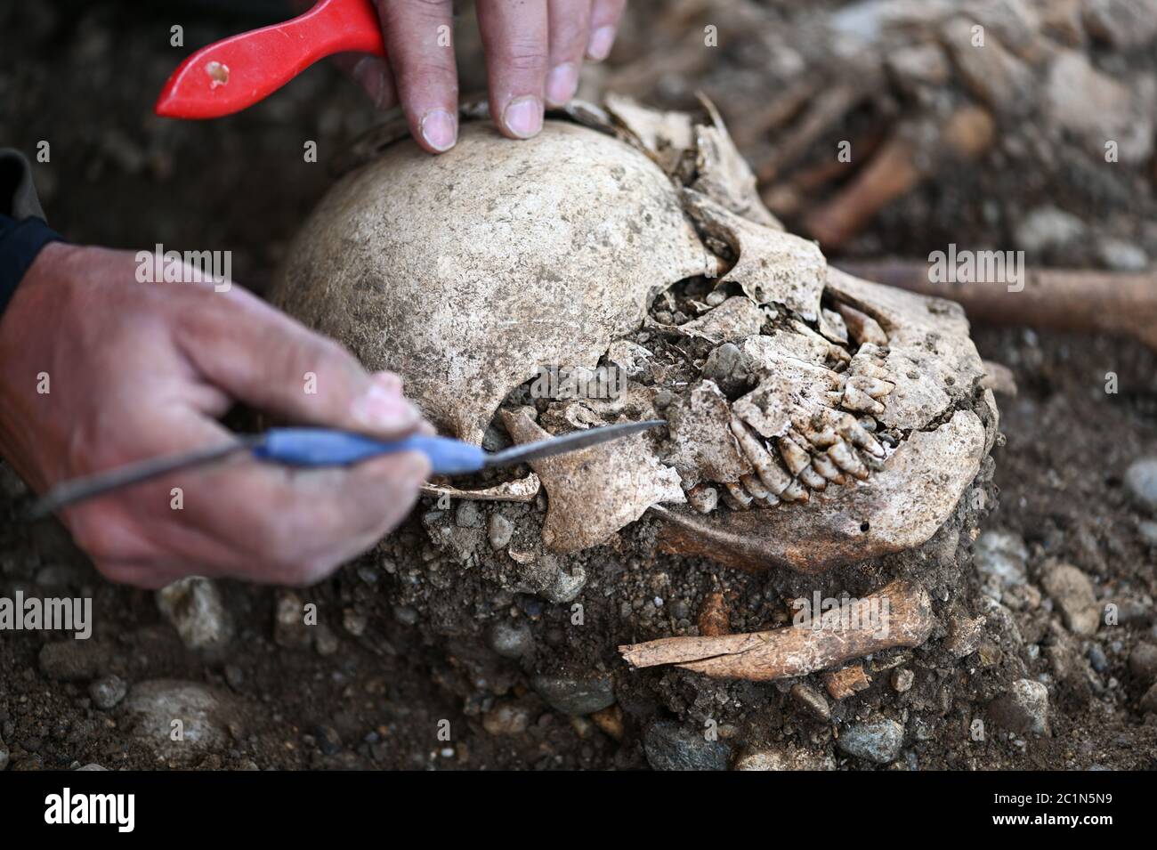 Allensbach, Germany. 04th June, 2020. District archaeologist and excavation director Jürgen Hald excavates parts of skeletons at the historical execution site not far from the Gnadensee (part of Lake Constance). Archaeologists have found the remains of a gallows, several skeletons and cremation pits there. (to dpa: 'Death on the gallows - archaeologists discover execution site at Lake Constance') Credit: Felix Kästle/dpa/Alamy Live News Stock Photo