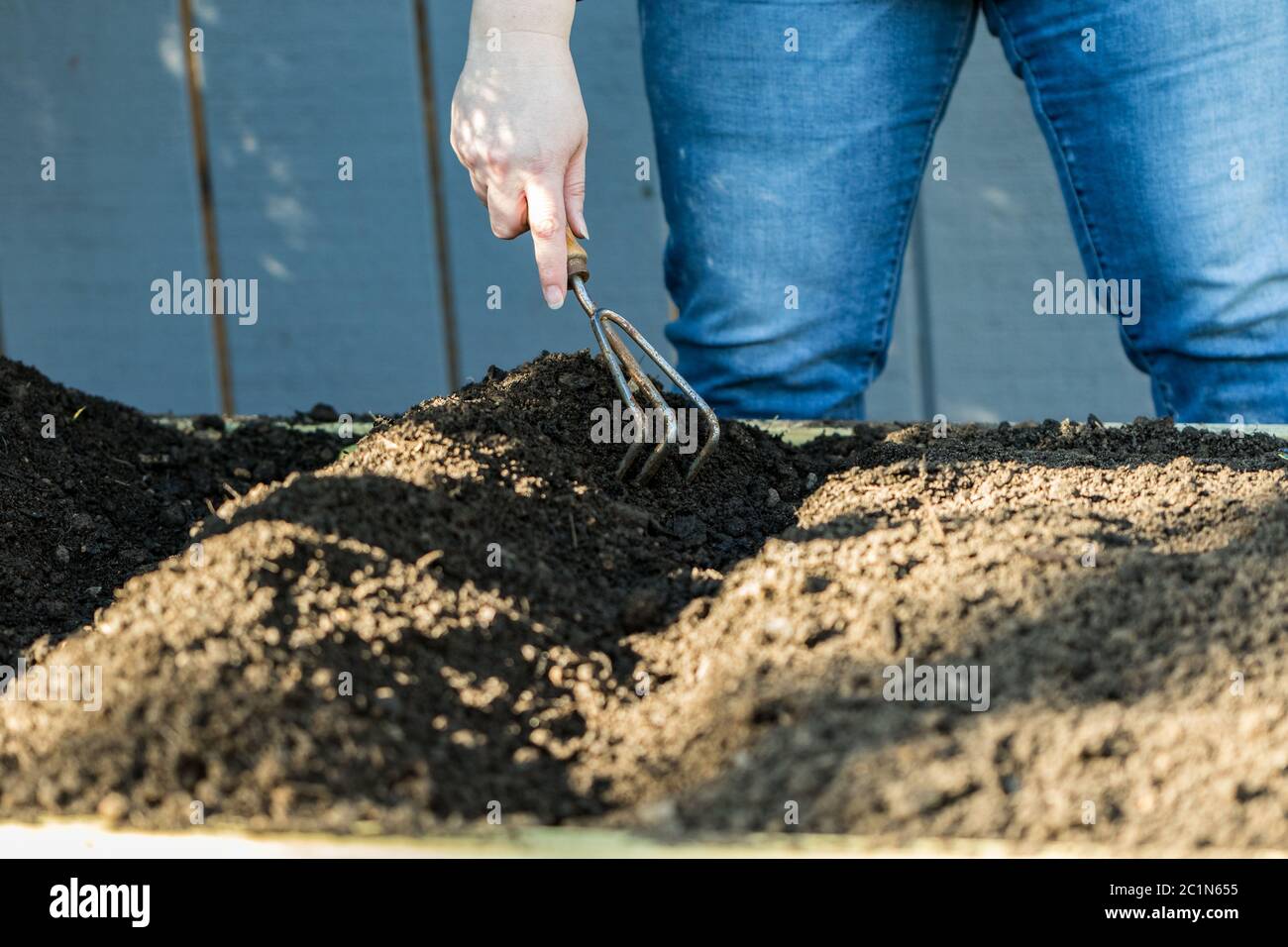 Women raking her backyard garden getting it ready to sow seeds. Stock Photo