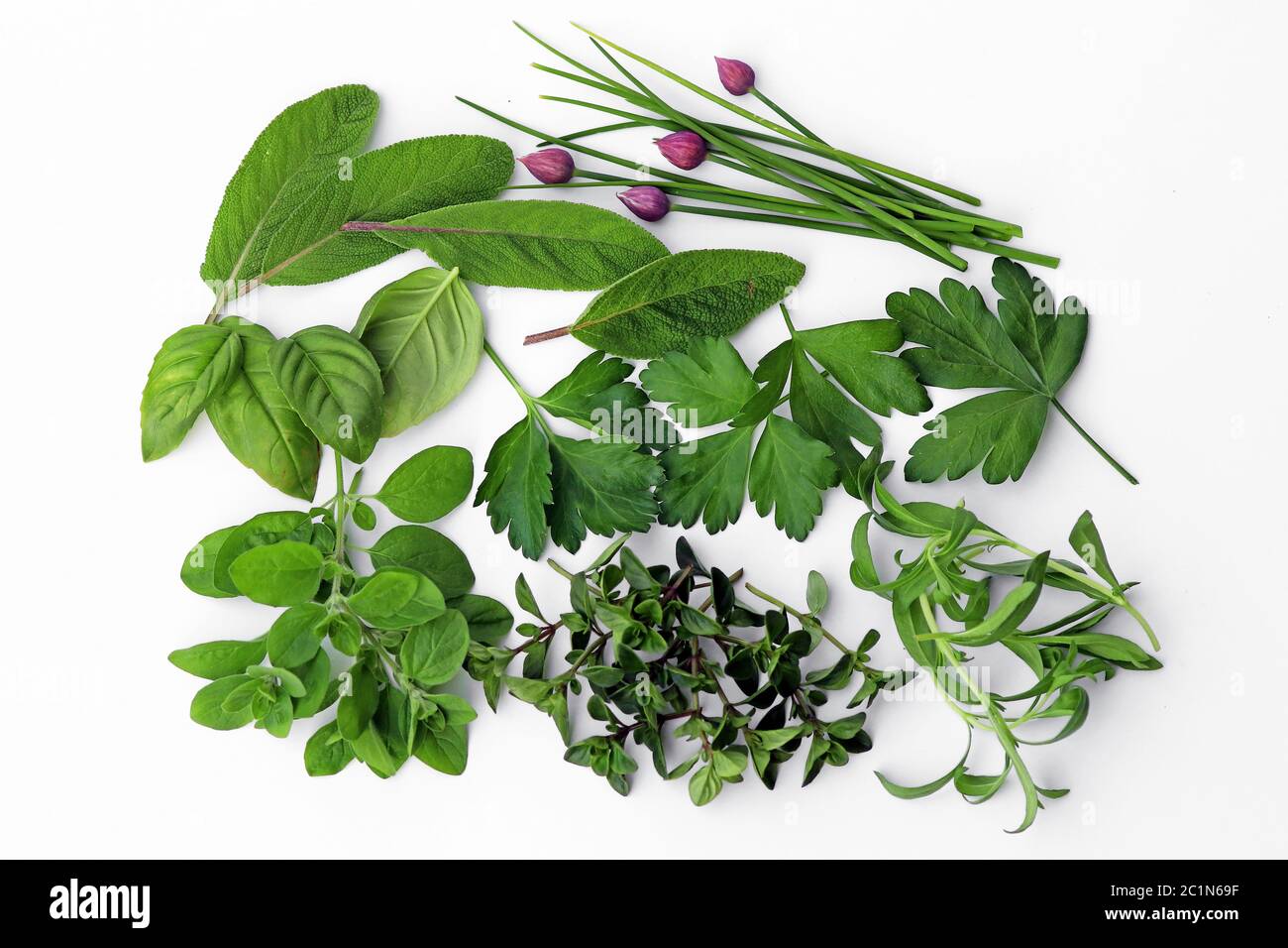 Healthy kitchen herbs - chives, sage, parsley, basil, savory, thyme and oregano Stock Photo