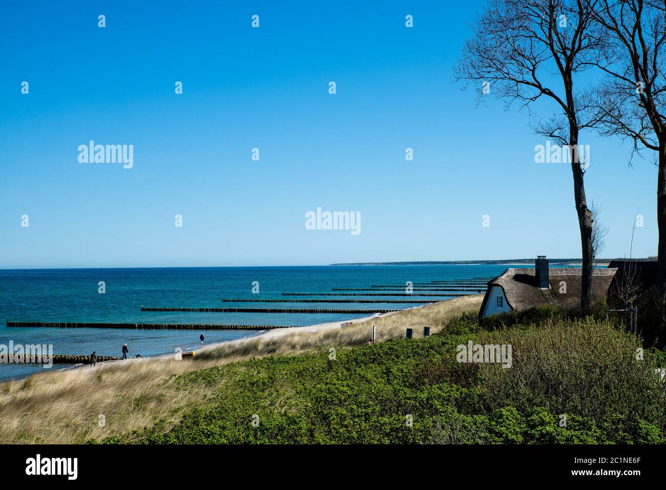 The beach of Ahrenshoop on the Baltic Sea. Stock Photo