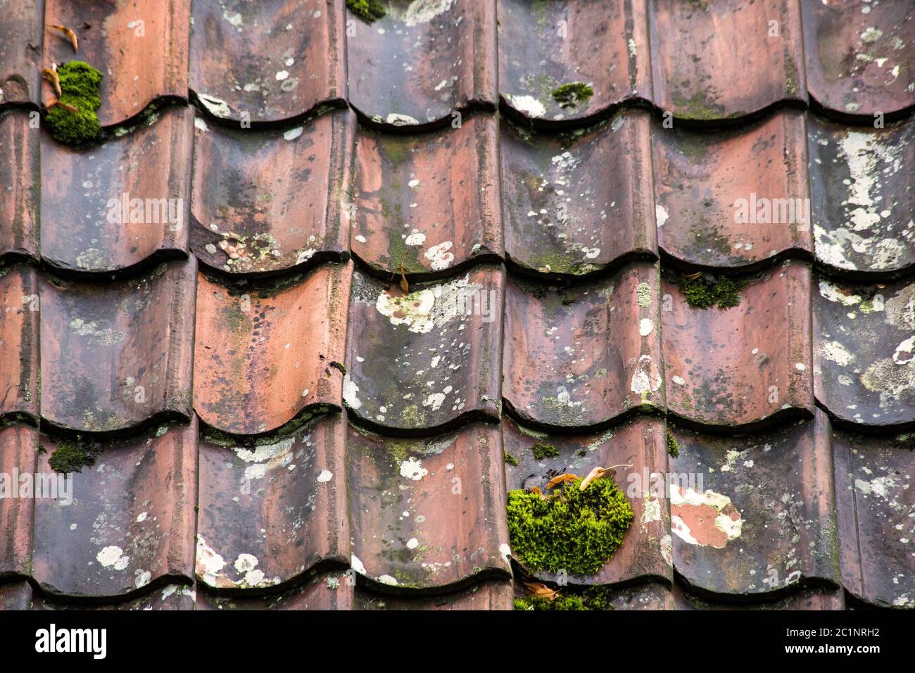 Old and ruined roof tiles closeup. Texture of a roof with old roof