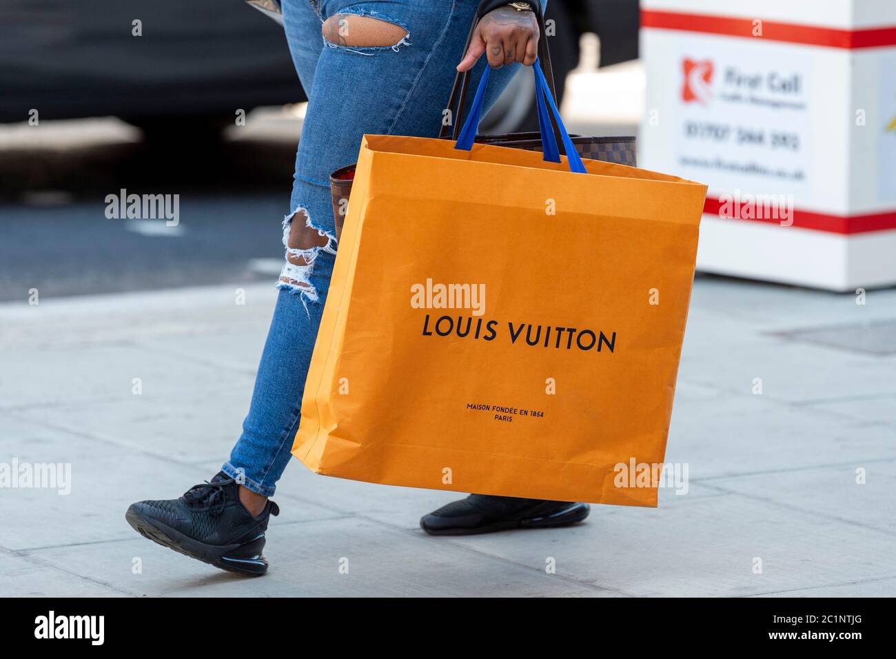 louis vuitton shopping bag