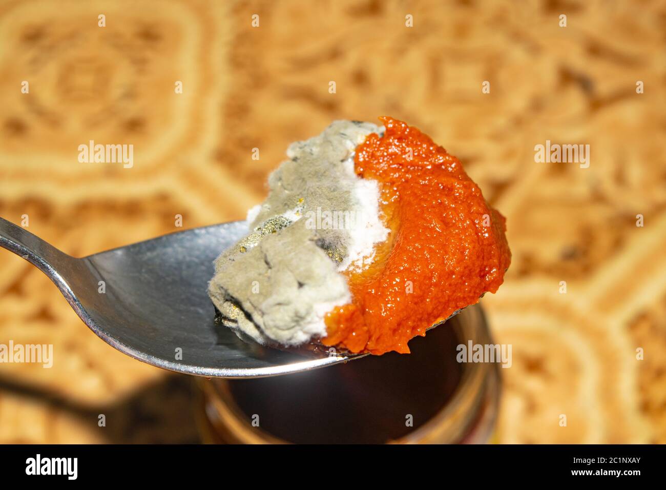 Mold growing on the tomato paste. Close up Stock Photo