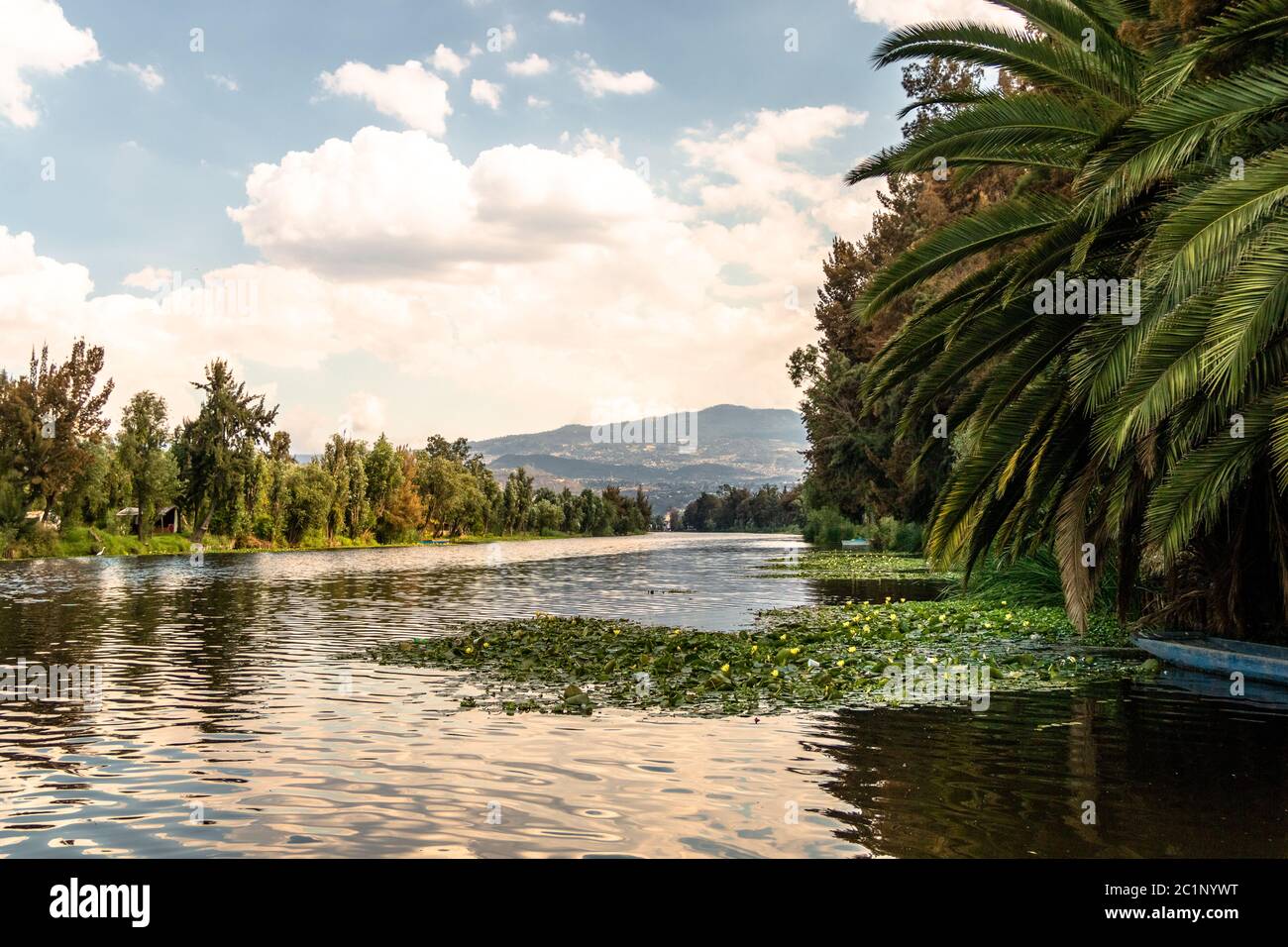 Panoramic view of Xochimilco channels or canals along the floating gardens or Chinampas in Mexico city at sunset with a couple of Trajinera boats in t Stock Photo